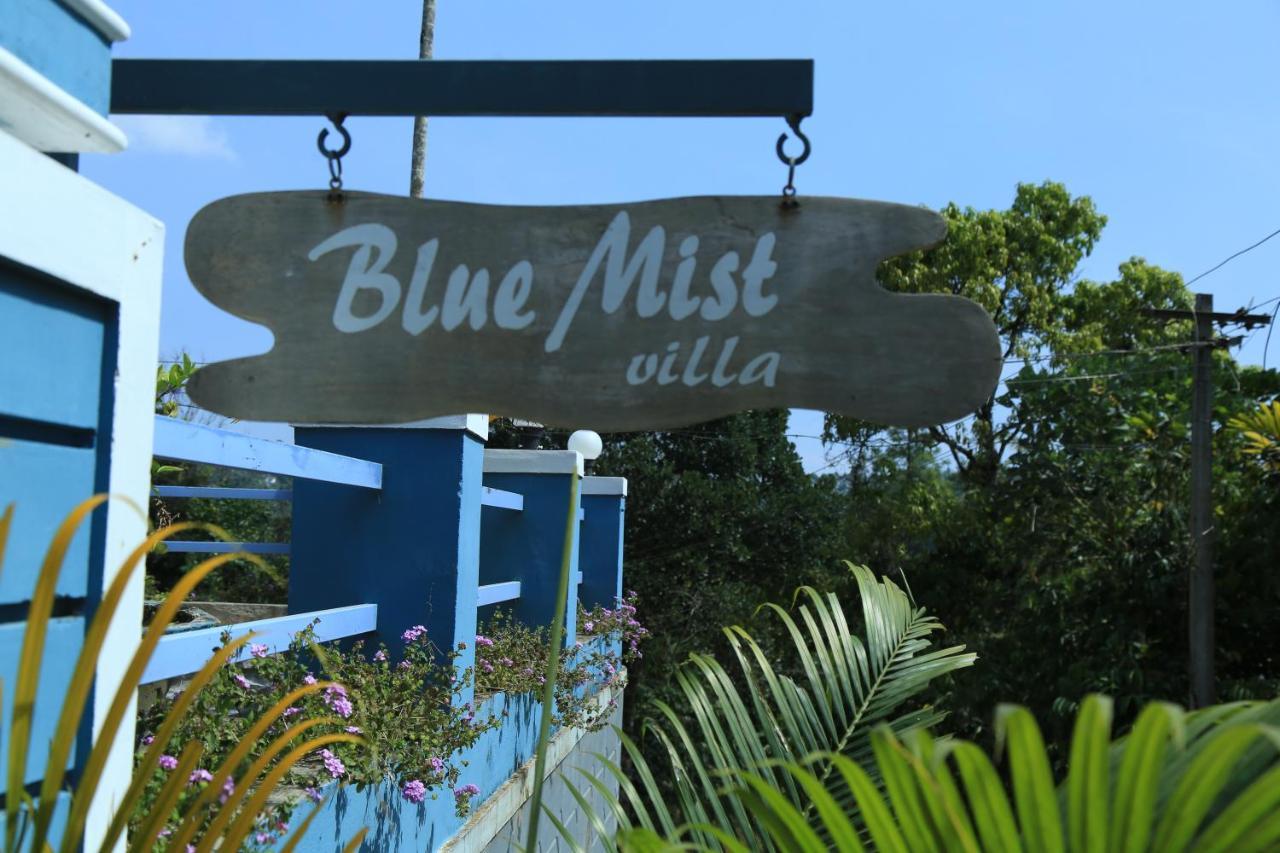 Bed and Breakfast Munnar Blue Mist Exterior foto